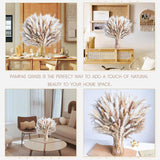 220Pcs Natural Dried Pampas Grass Boho Home Decor Bouquet Phragmites Dried Flowers Bouquet For Wedding Floral Arrangements Home Decorations (220Pcs)