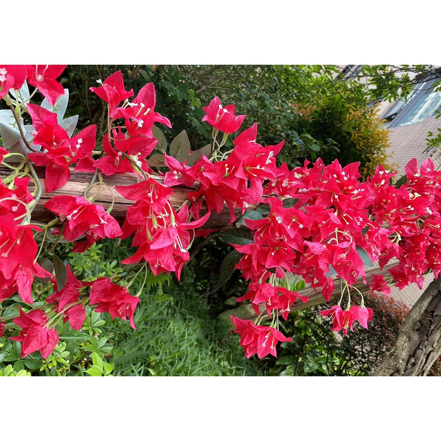 5.9 Ft Artificial Bougainvillea Flowers Garland Silk Bougainvillea Vines Faux Long Bougainvillea Vines For Wedding Arch Wall Decorations Centerpieces Table Runner (Fuchsia - Pack Of 2)