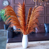 Pampas Grass Decor Tall,Long Pampas, Large Pompas Floral, Elegant Feather Flowers For Wedding Decorations, Living Room Decor (Natural Orange, 8Pcs 31.5"(80Cm))