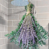Preserved Eucalyptus Stems & Dried Lavender Bundles For Shower, 70 Pcs17'' Natural Real Live Eucalyptu Leaves Greenery Hanging Lavender Flowers Shower Plant, Fragrance, Vase Decor