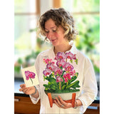 Pop Up Cards, Orchid Oasis, 12 Inch Life Sized Forever Flower Bouquet 3D Popup Greeting Card, Birthday Cards, Get Well Gifts, Blank Notecard & Envelope
