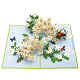 Pop Up Greeting Card Blooming White Daisy Field Flower Card Daisy Gift Spring Floral Mother'S Day Thank You Birthday Celebration