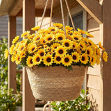 24 Bundles Yellow Sunflower Faux Mums For Outdoor Artificial Flower With Stems Bouquet Fake Plants Bulk Uv Resistant Plastic No Fade Wedding Fall Garden Home Window Decor (Sunflower)