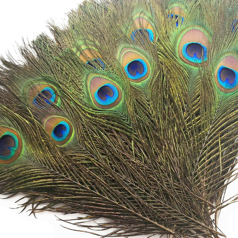 50 Pcs Natural Peacock Feathers In Bulk 10-12 Inch(25-30 Cm) Bulk For Diy Craf