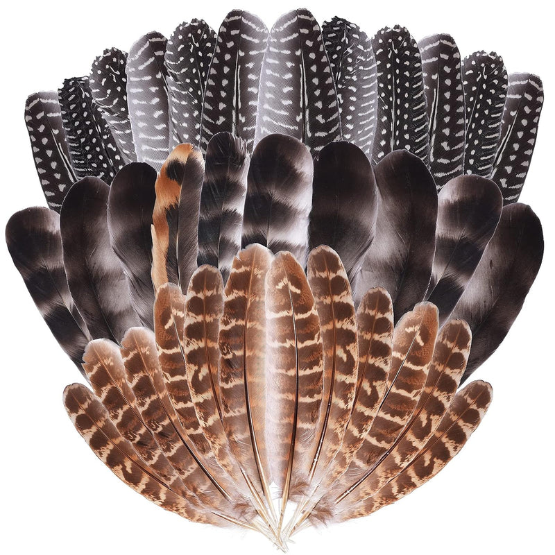 Natural Turkey Spotted Feathers For Crafts Pheasant Feathers Diy Wedding Home