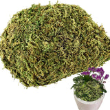 4.1Oz Fake Moss For Potted Plants And Fake Plants - Artificial Moss For Planters And Home Decor