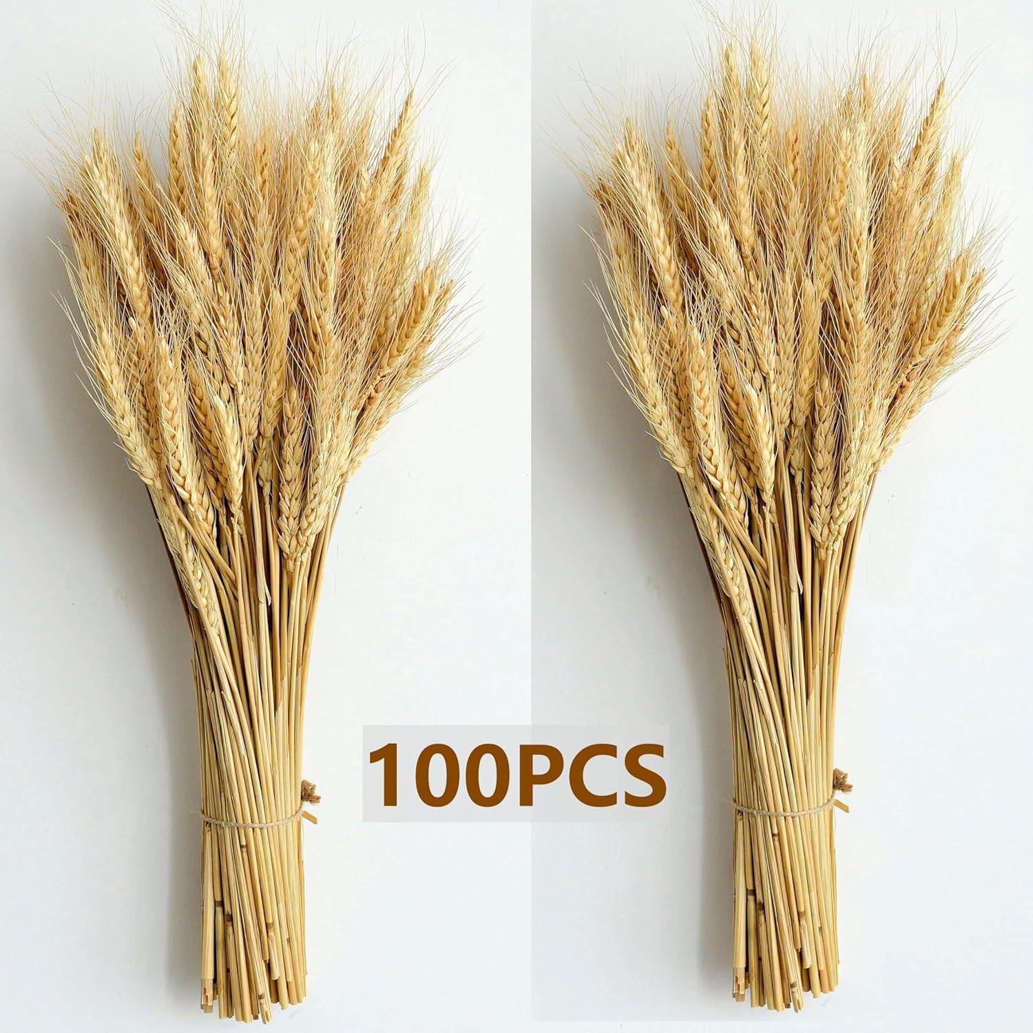 180Pcs Dried Wheat Bundle With Pampas Grass & Bunny Tails – Natural Dried Flower Bouquet For Vase, Fall Centerpieces, Wheat Straw & Wheat Grass Decor For Rustic, Boho, Floral & Nature Room Decor