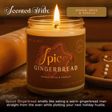 Christmas Candles Scented – Vanilla, Ginger, Spice – Fall Candle, Perfect Holiday, Winter, Xmas, Autumn Gifts – 9Oz, Soy Wax, 50 Hour Burn