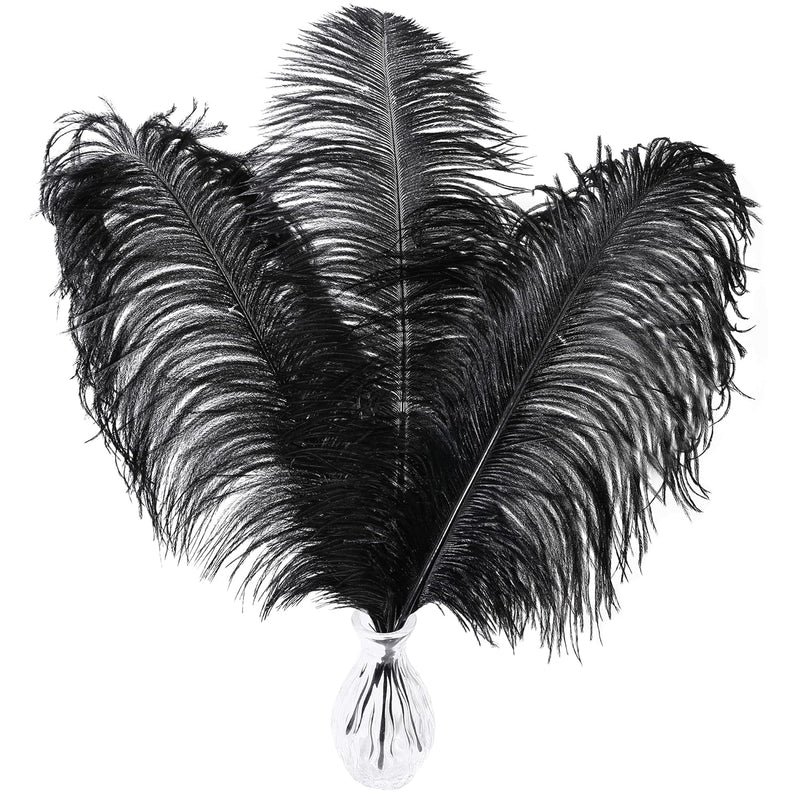 Black Ostrich Feathers Bulk - 16-18 Inch 10Pcs Feathers For Vase,Wedding Party