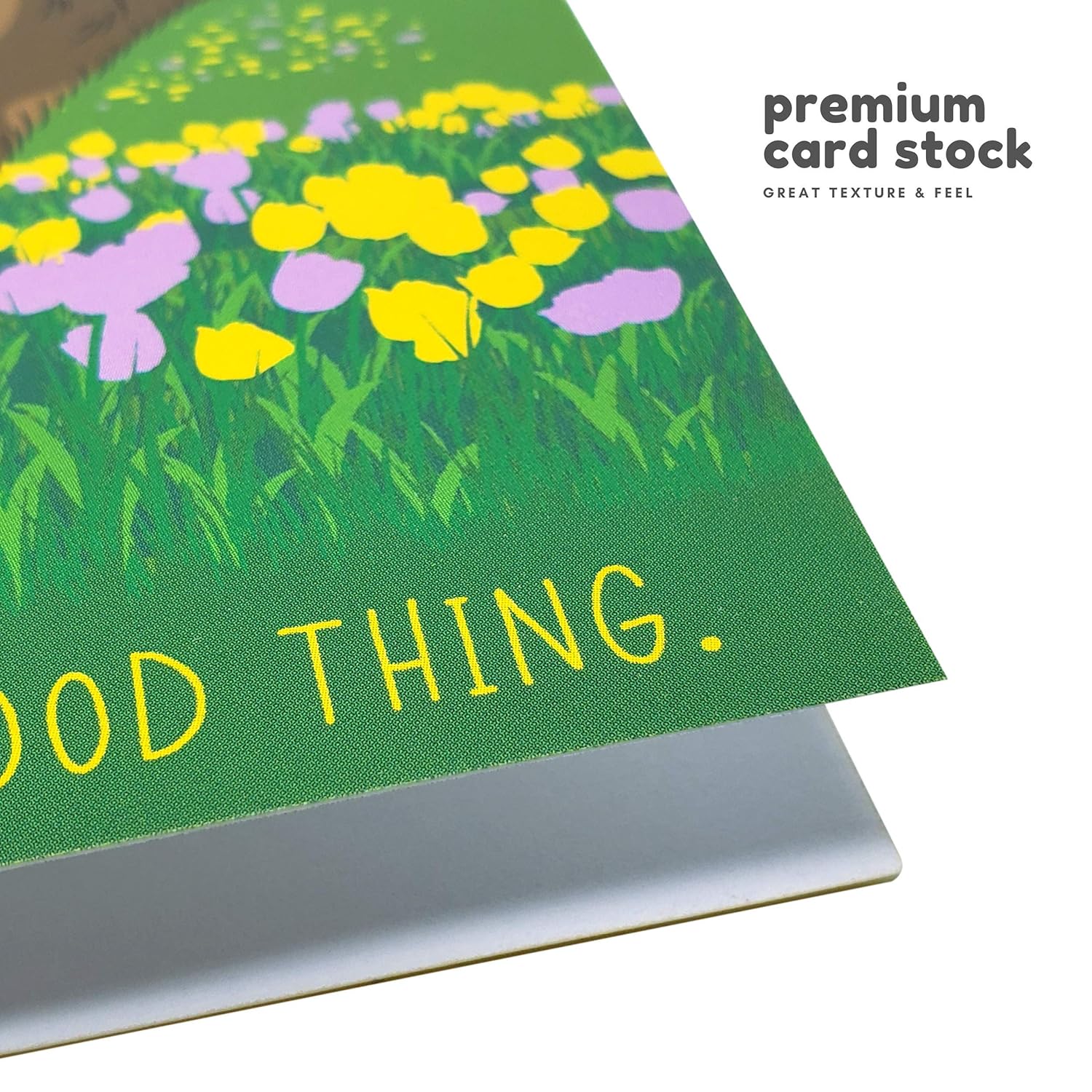 Funny Mother'S Day Card 5X7 Inches With Matching Envelope | Funny Birthday Card For Mom | Momma Bear Card