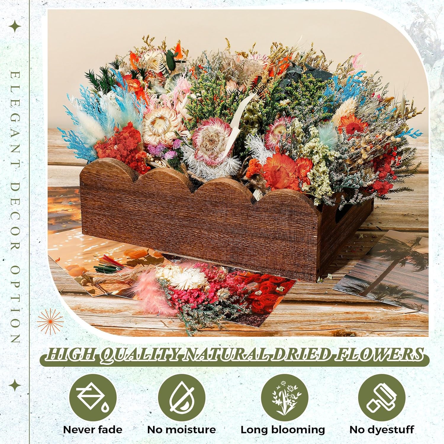 24 Pcs Boho Dried Flower Bouquet Mini Wedding Handmade Dry Flowers Decor For Vase Crafts Diy Photo Boutonniere For Men Floral Plant For Bridesmaid Gift Birthday Decor (Gerbera Daisy)