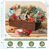 24 Pcs Boho Dried Flower Bouquet Mini Wedding Handmade Dry Flowers Decor For Vase Crafts Diy Photo Boutonniere For Men Floral Plant For Bridesmaid Gift Birthday Decor (Gerbera Daisy)
