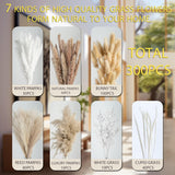 300Pcs Natural Pampas Grass Decor Bouquet | Boho Dried Floral Arrangement Centerpiece Table Decor Wedding Decor Rustic Decor (300Pcs)