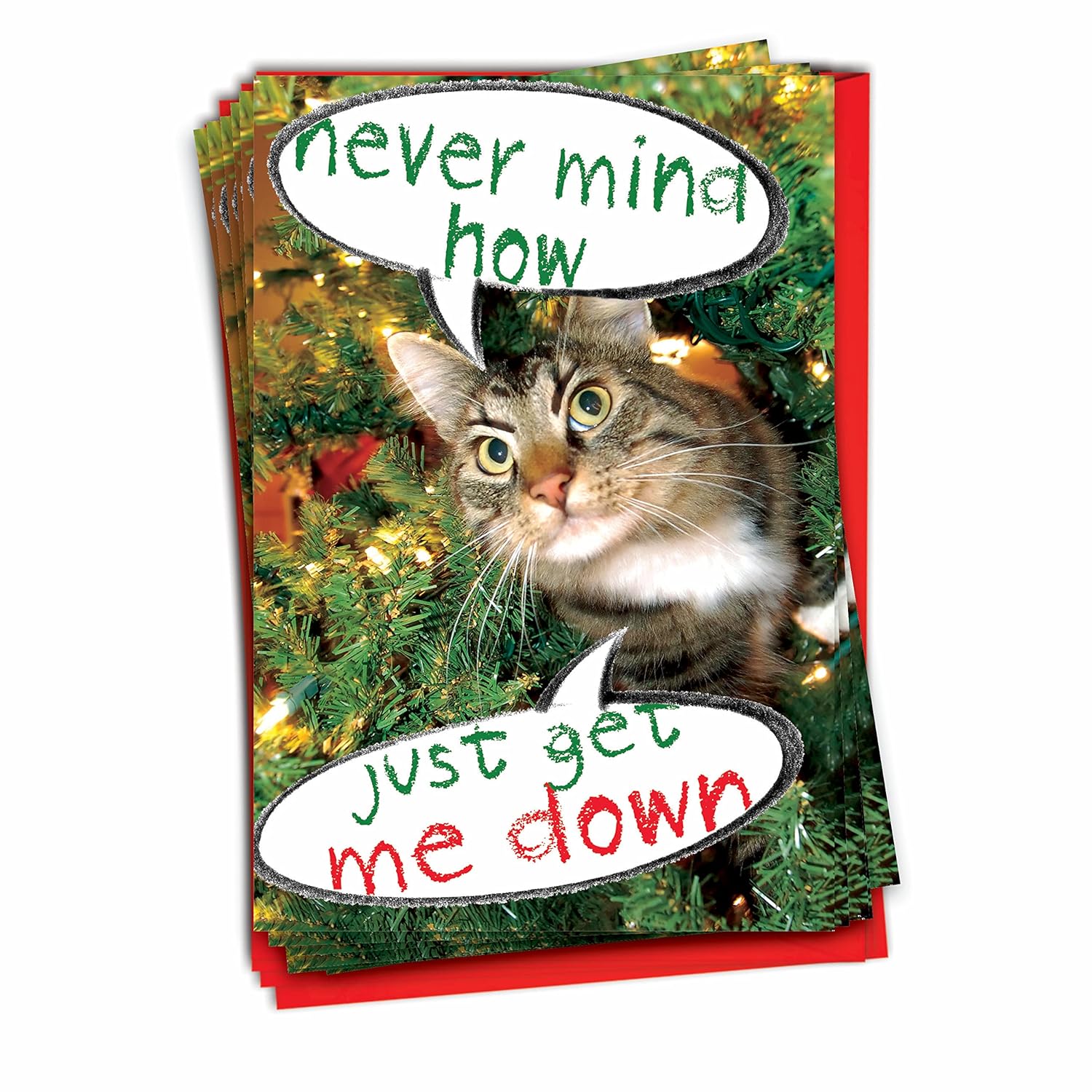 - 12 Funny Cat Christmas Cards With Envelopes - Pet Animal Holiday Humor, Boxed Notecard Set (1 Design, 12 Cards) - Never Mind How, Just Get B1960