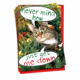 - 12 Funny Cat Christmas Cards With Envelopes - Pet Animal Holiday Humor, Boxed Notecard Set (1 Design, 12 Cards) - Never Mind How, Just Get B1960