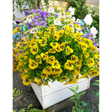 Artificial Flowers For Outdoors Fake Plants, 12Pcs Fake Flowers Artificial Plants Outdoor Uv Resistant,Silk Faux Flowers Shrubs Greenery Plants For Porch Garden Patio Window Box Decor
