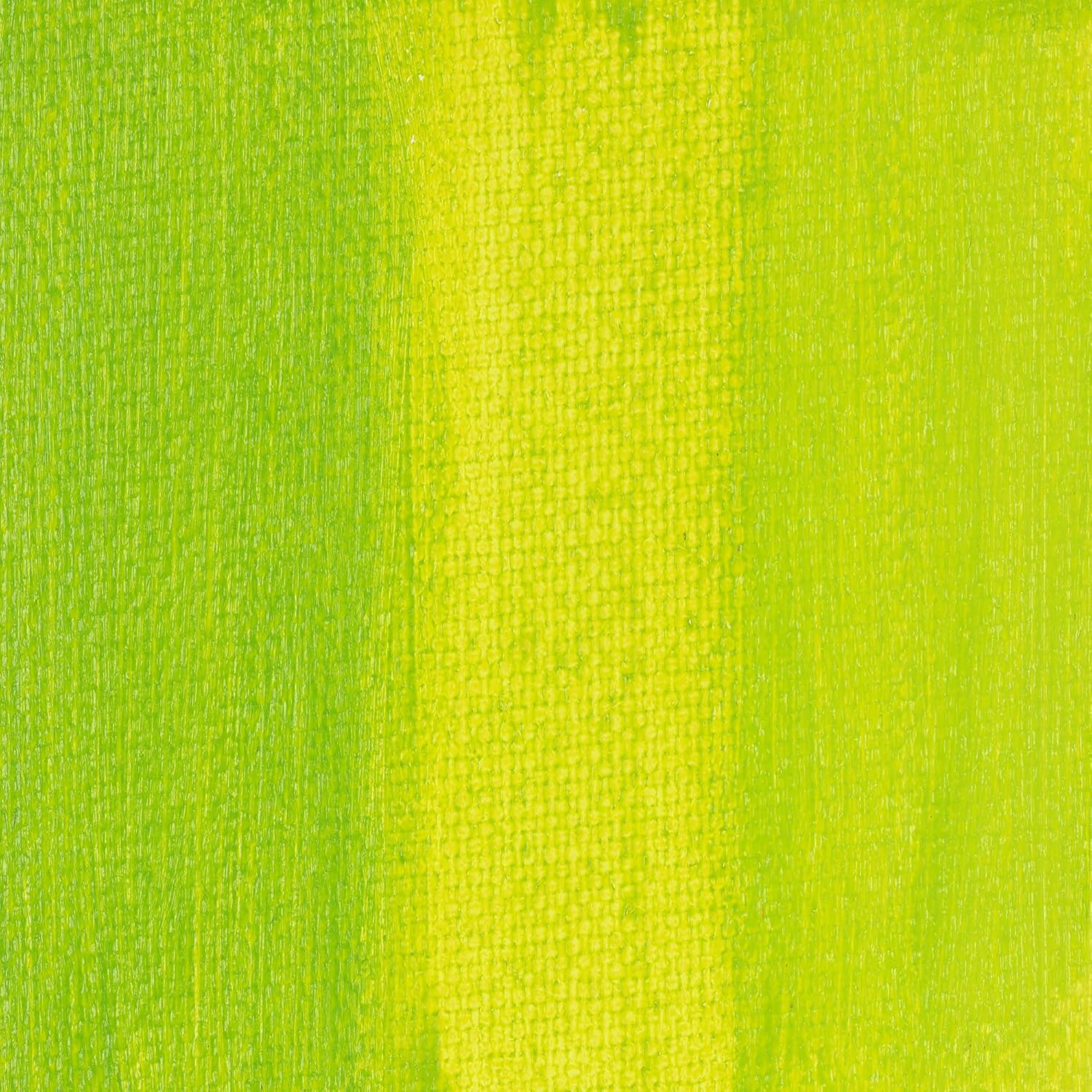 Heavy Body Acrylic Paint - 500 Ml Jar - Lime Green - Thick, Rich Color, Excellent Coverage, Professional Quality - Artists Acrylic Paint