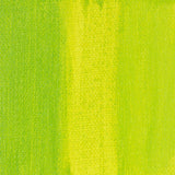 Heavy Body Acrylic Paint - 500 Ml Jar - Lime Green - Thick, Rich Color, Excellent Coverage, Professional Quality - Artists Acrylic Paint