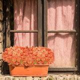 12 Bundles Orange Artificial Flowers, No Fade Plastic Orchid Fake Flowers For Decoration Hanging Planters Indoor Outside Garden Porch Window Box Home Wedding Farmhouse