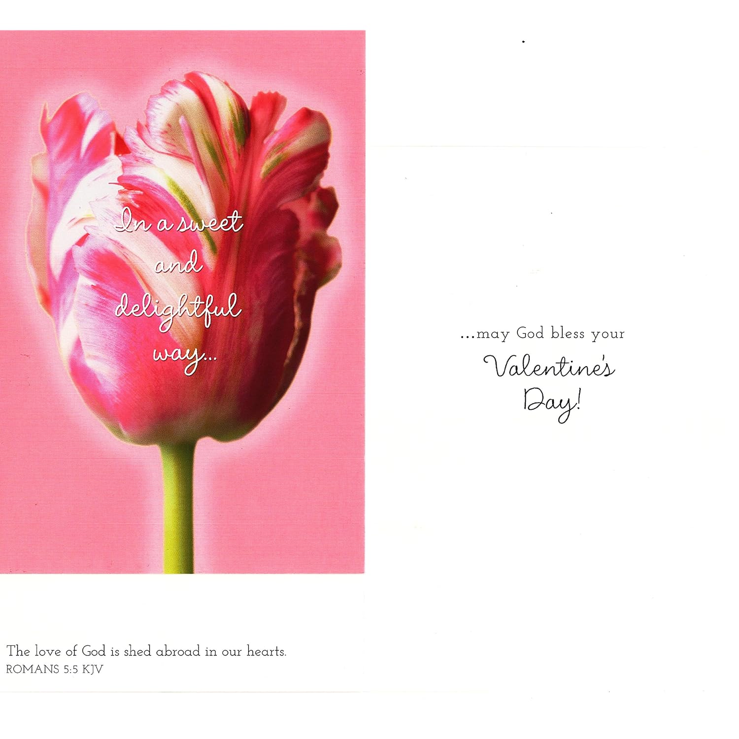 DaySpring - Valentine's Day is Extra Special - King James Version - 4 Pink Floral Designs with Scripture - 12 Boxed Valentine Cards & Envelopes (J1332)