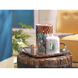 Yankee Candle Silver Birch Scented, Classic 22oz Large Jar Single Wick Aromatherapy Candle, Over 110 Hours of Burn Time, Apothecary Jar Fall Candle, Autumn Candle Scented for Home