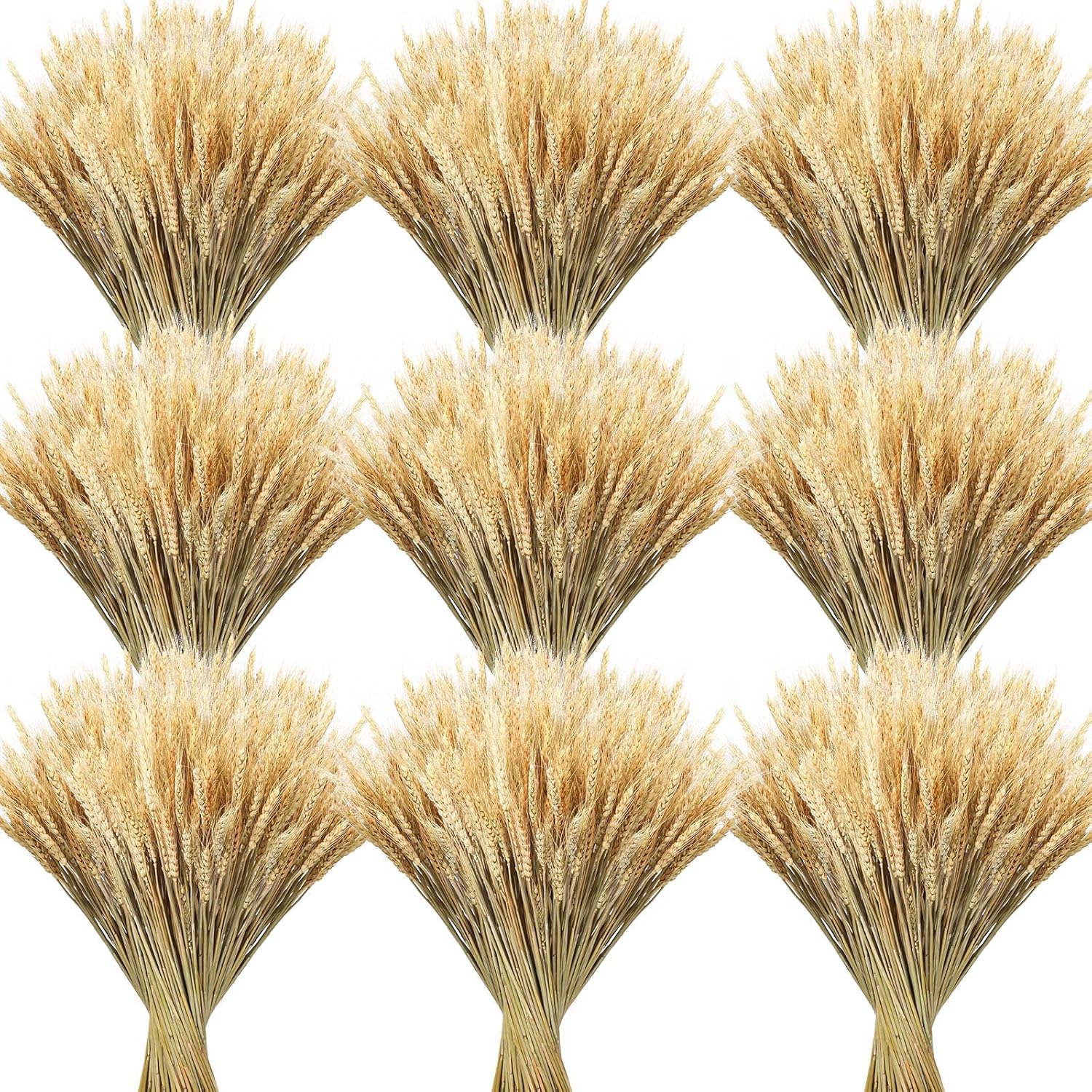 600 Stems Dried Wheat Stalks For Decor Natural Wheat Grass Sheaves Bundle Farmhouse Artificial Flowers Arrangement For Diy Wedding Table Home Centerpieces Party Decorative (16 Inch)