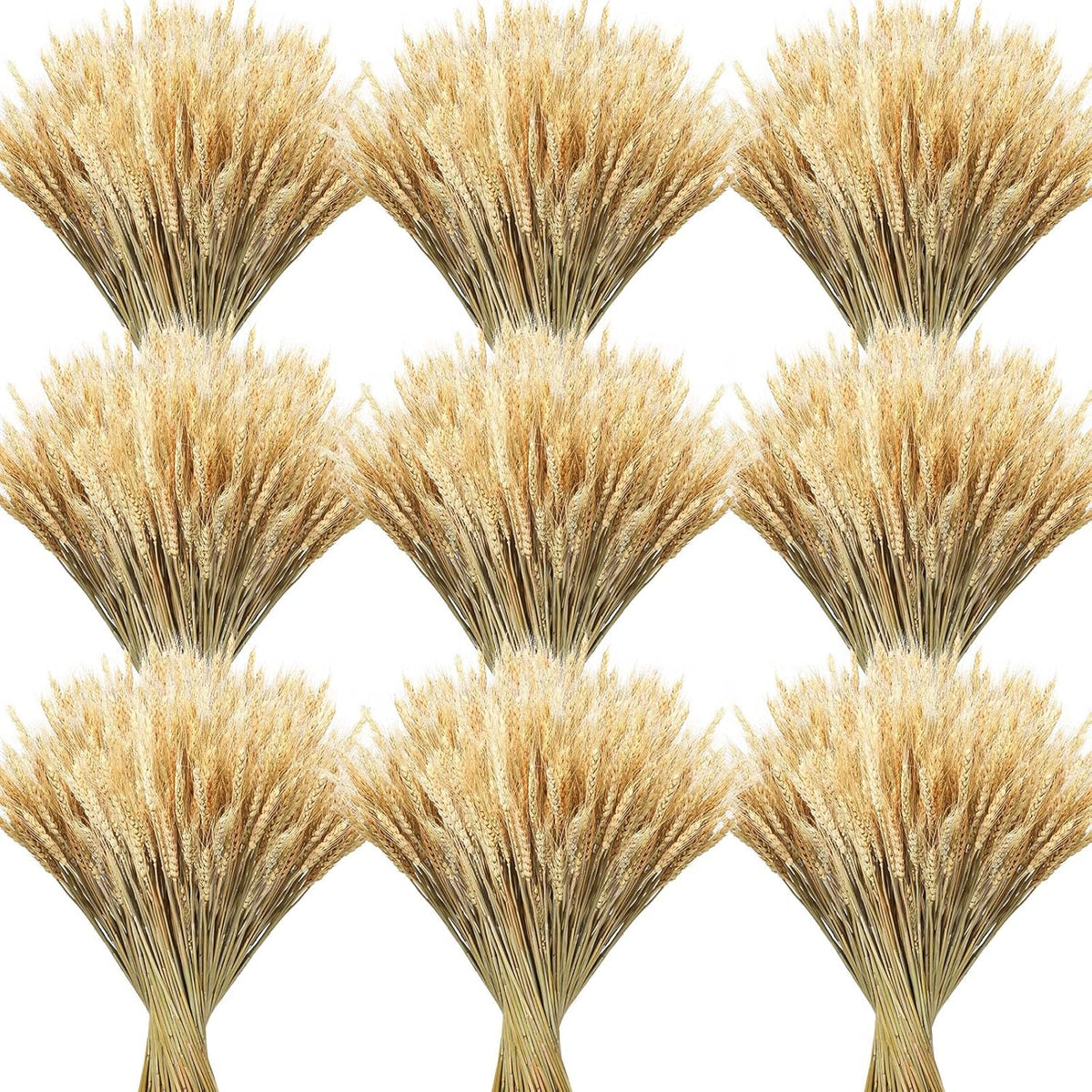 600 Stems Dried Wheat Stalks For Decor Natural Wheat Grass Sheaves Bundle Farmhouse Artificial Flowers Arrangement For Diy Wedding Table Home Centerpieces Party Decorative (16 Inch)