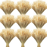 600 Stems Dried Wheat Stalks For Decor Natural Wheat Grass Sheaves Bundle Farmhouse Artificial Flowers Arrangement For Diy Wedding Table Home Centerpieces Party Decorative (16 Inch)