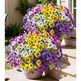 Artificial Fake Pansy Flowers For Outdoor Outside, 20Pcs Faux Silk Mixed Pansies Uv Resistant Flowers For Porch Yard Patio Window Box Home Decor (Fuchsia Purple Yellow White)