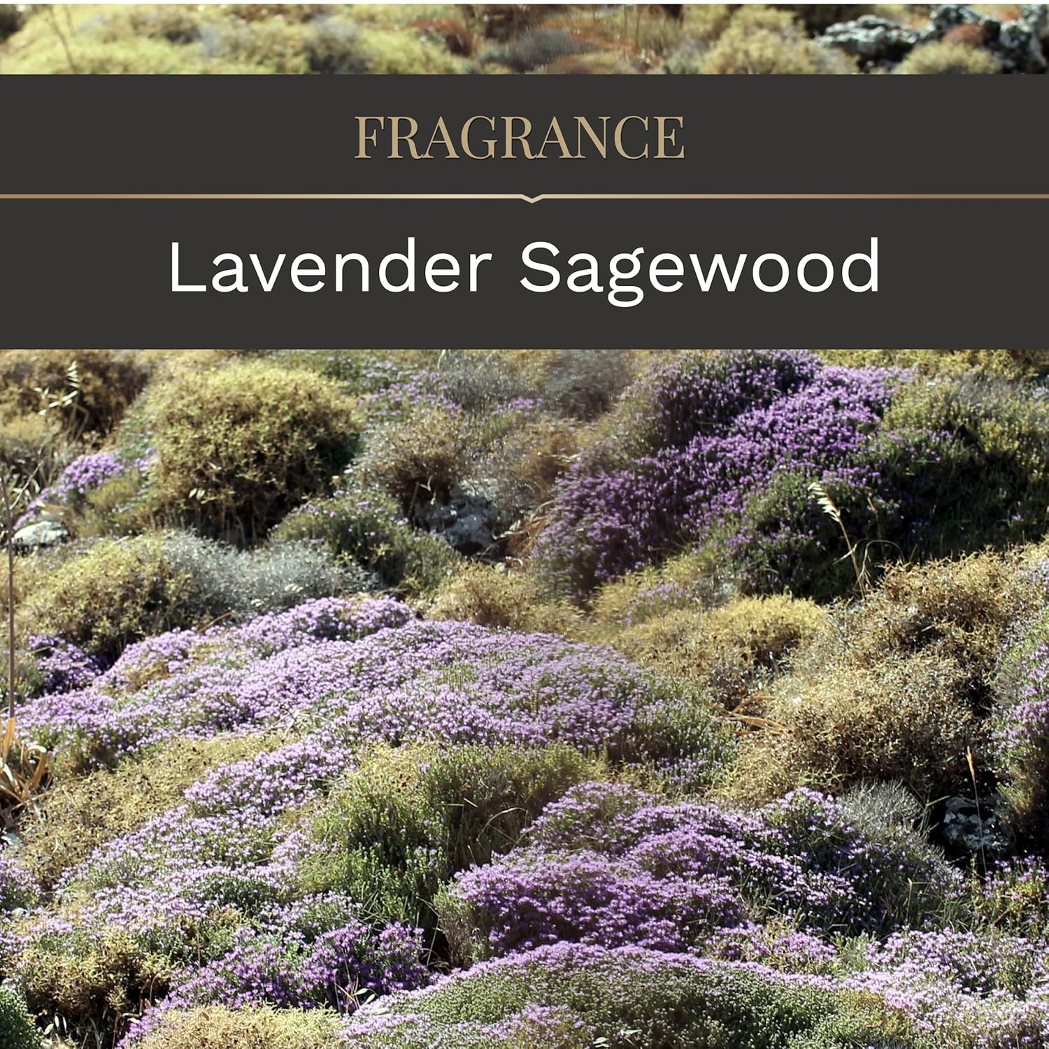 Clco. By Company Scented Candles, Lavender Sagewood Fragrance, One 14 Oz. Single Wooden Wick Aromatherapy Candle With 90 Hours Of Burn Time, White Color