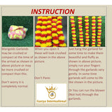 5 Pc - 5 Feet Artificial Marigold Garland Indian/American Wedding Party, Faux Garlands Wedding Garland, Diwali Decoration, Mantle Decoration, Diwali, Spring Bush Floral! (Magenta And Yellow)