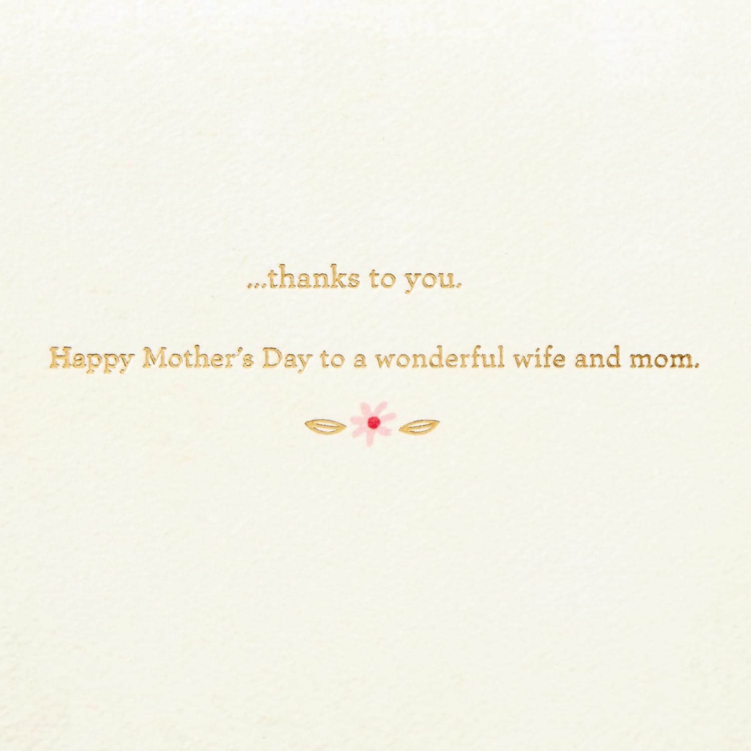 Hallmark Signature Mothers Day Card to Wife (Lucky Family) (799MBC1029)