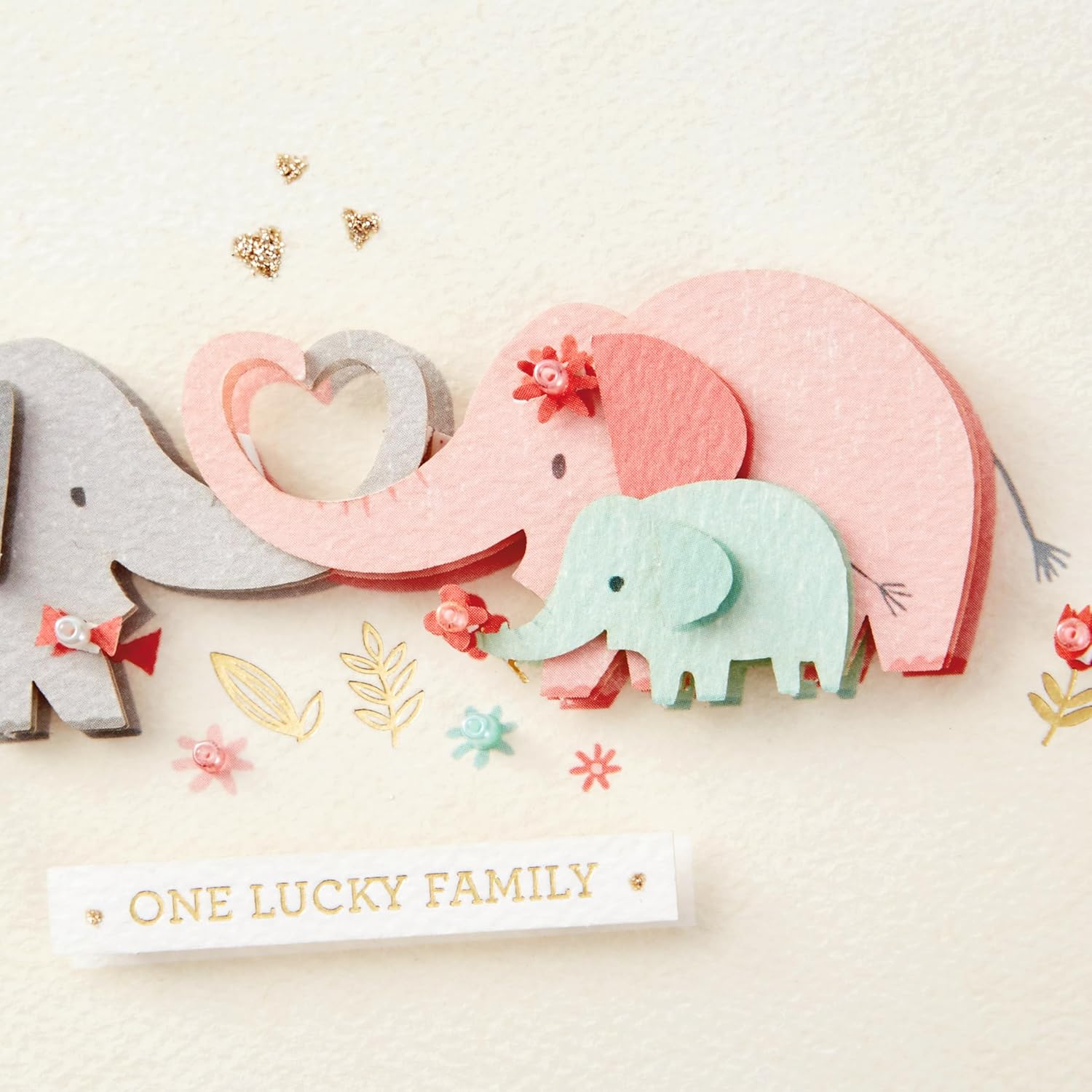 Hallmark Signature Mothers Day Card to Wife (Lucky Family) (799MBC1029)
