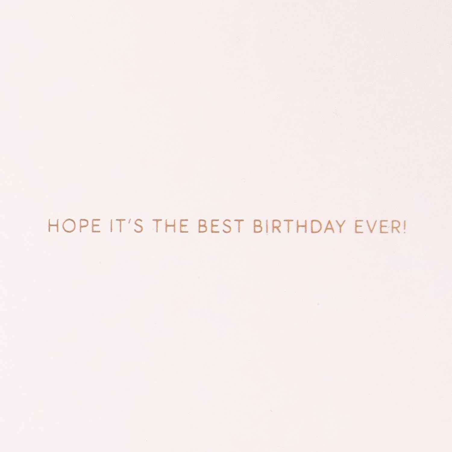 Hallmark Signature Birthday Card (Best Birthday Ever)