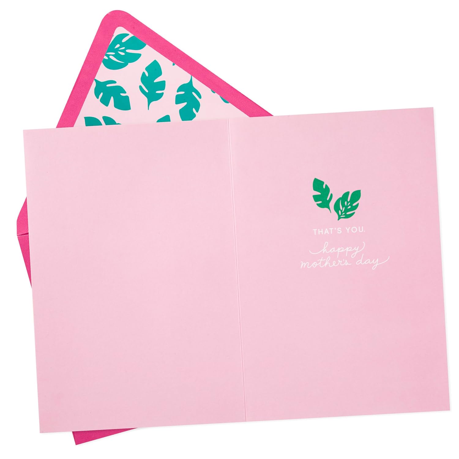 Hallmark Signature Mothers Day Card (Embroidered Flamingos) (899MBC1067)