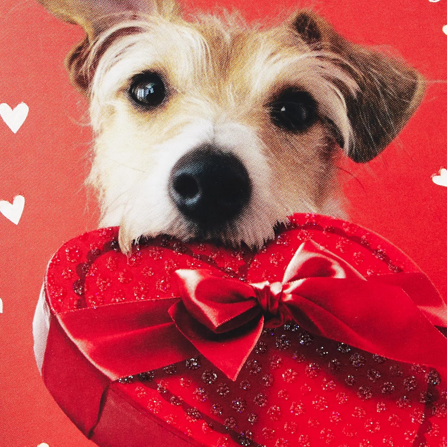Hallmark Pack of Valentine's Day Cards, Dog with Box of Chocolates (10 Valentine's Day Cards with Envelopes)