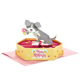 Hallmark Mothers Day Pop Up Card (Puppy Dog with Flowers)
