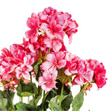 Vickerman Everyday Artificial Coral Geranium Bush 19.5" Long - Premium Faux Floral Home Decor - Perfect Outdoor Artificial Flowers - Maintenance Free Flowers