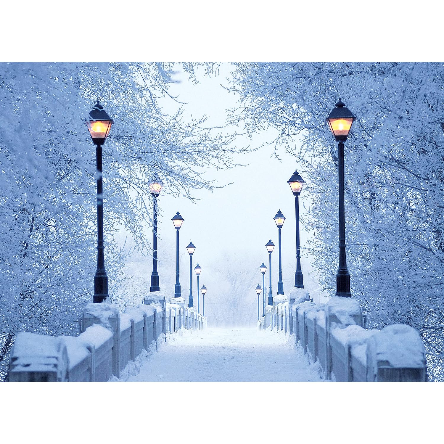 Bridge Lights And Snow Christmas Cards Boxed With Envelopes Set Of 12 Holiday Cards And 12 Envelopes. Made In Usa.