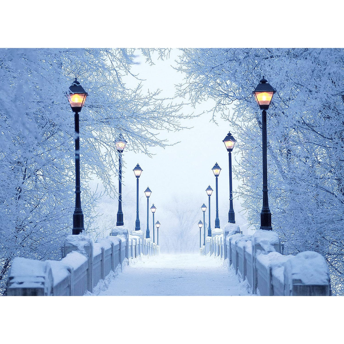 Bridge Lights And Snow Christmas Cards Boxed With Envelopes Set Of 12 Holiday Cards And 12 Envelopes. Made In Usa.