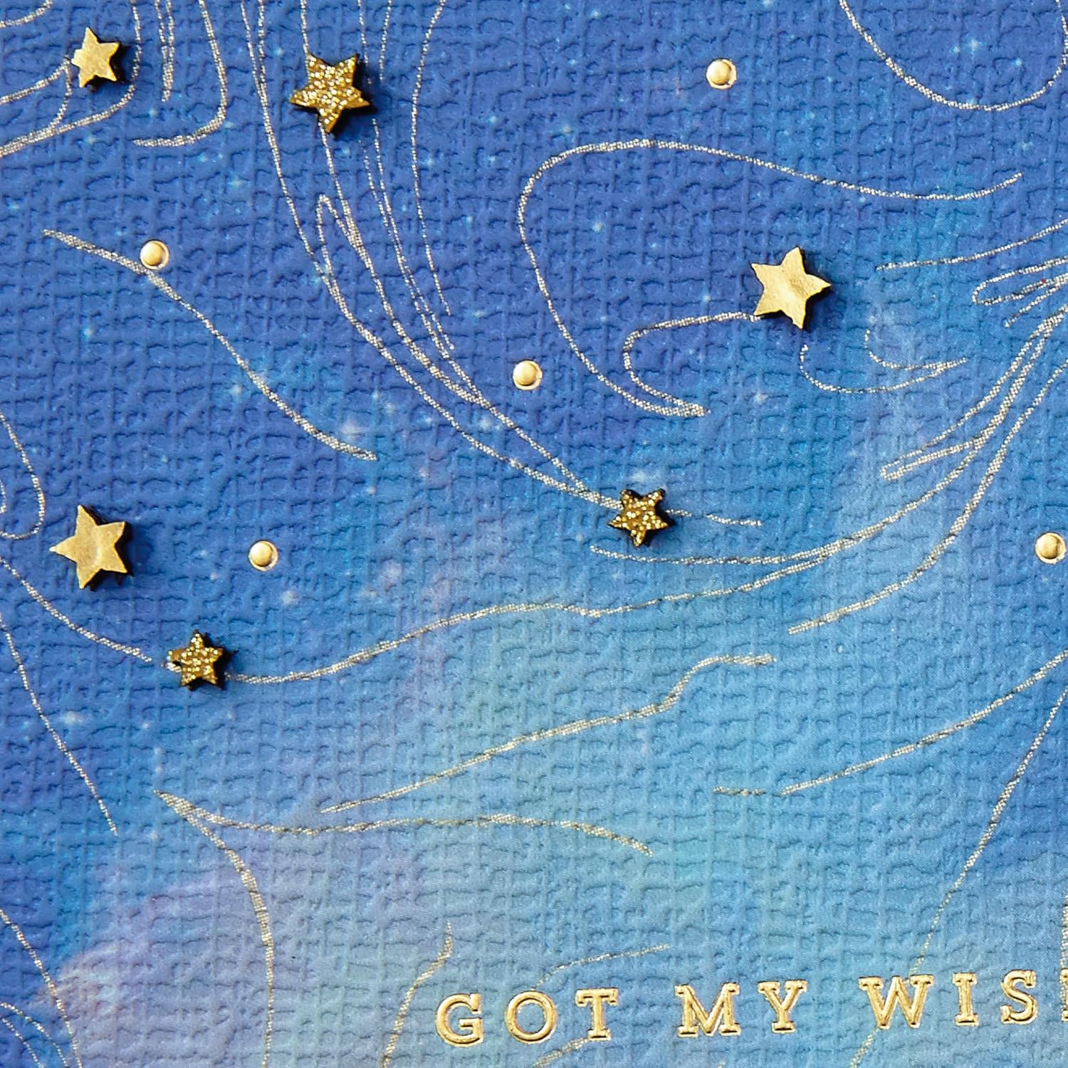 Hallmark Signature Valentine's Day Card (Got My Wish) for Anniversary, Romantic Birthday, Sweetest Day