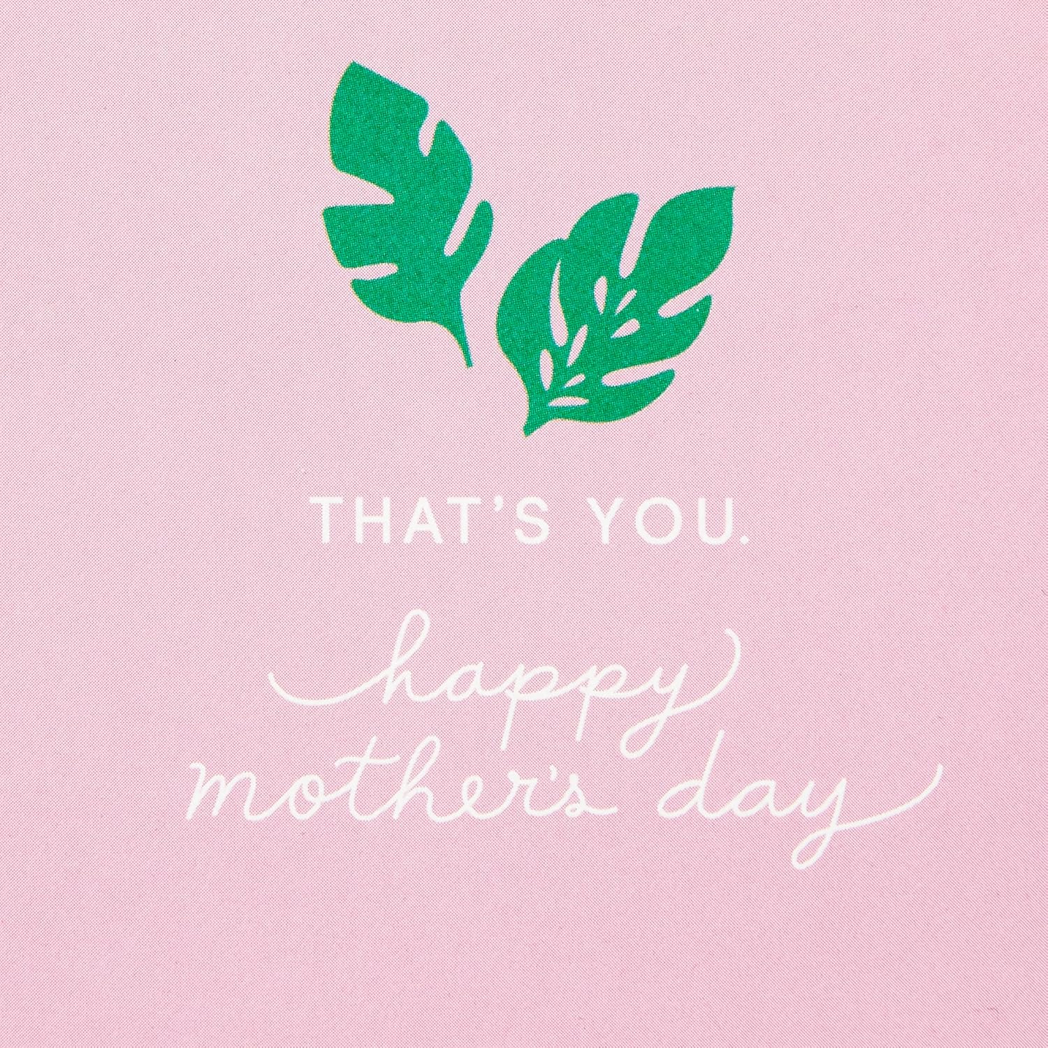 Hallmark Signature Mothers Day Card (Embroidered Flamingos) (899MBC1067)