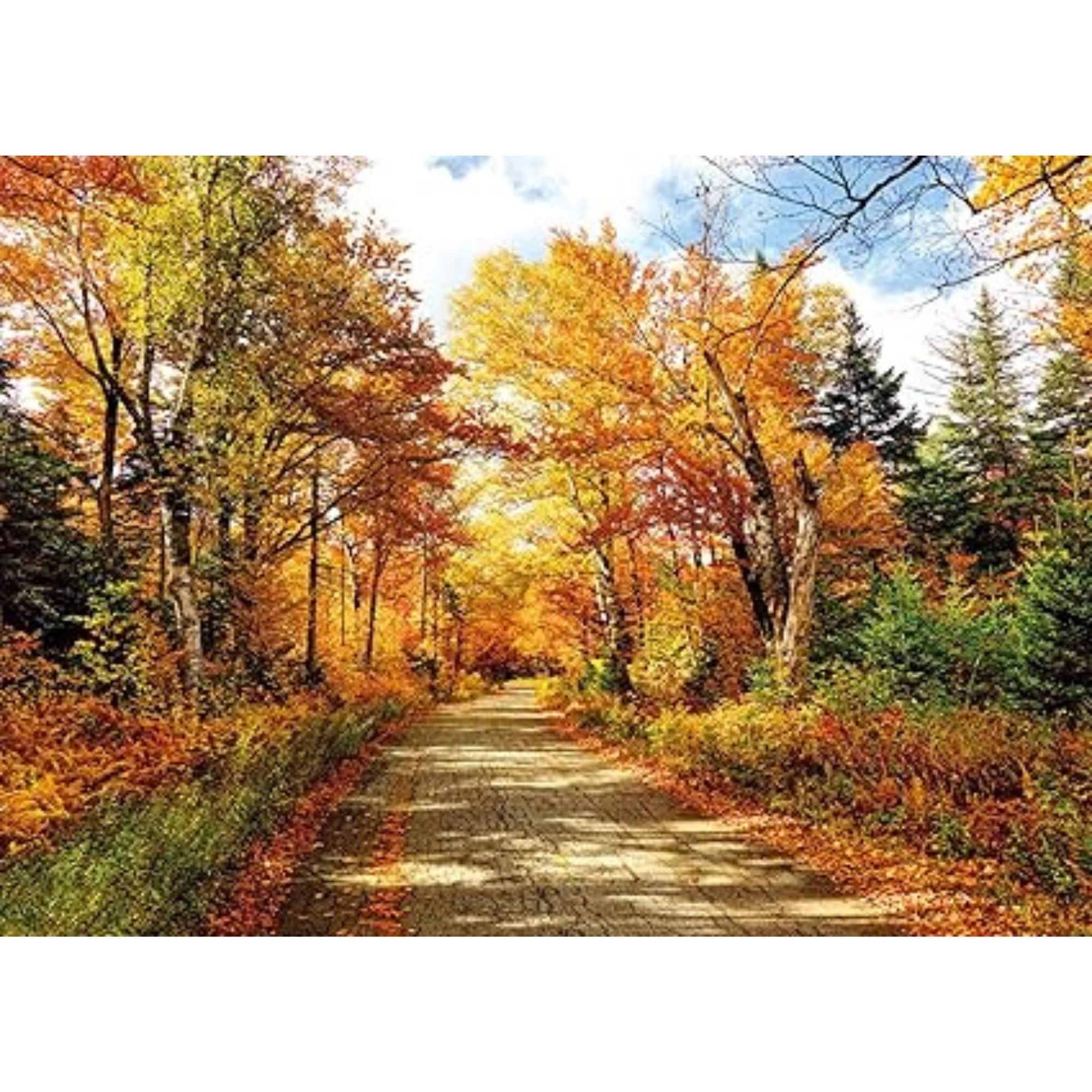 7x5FT Fall Photography Backdrop Autumn Leaves Natural Landscape Party Photo Background