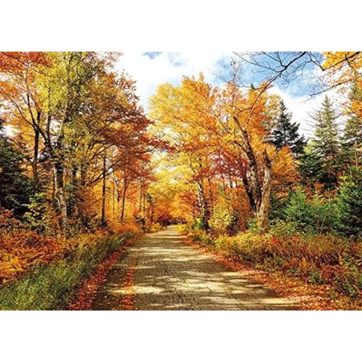 7x5FT Fall Photography Backdrop Autumn Leaves Natural Landscape Party Photo Background