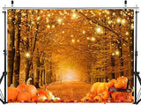 7x5ft Fall Pumpkin Thanksgiving Backdrop Party Decoration Photography Banner