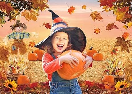 Autumn Pumpkin Harvest Backdrop with Hay and Maple Leaves for Thanksgiving Photos