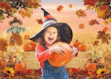 Autumn Pumpkin Harvest Backdrop with Hay and Maple Leaves for Thanksgiving Photos