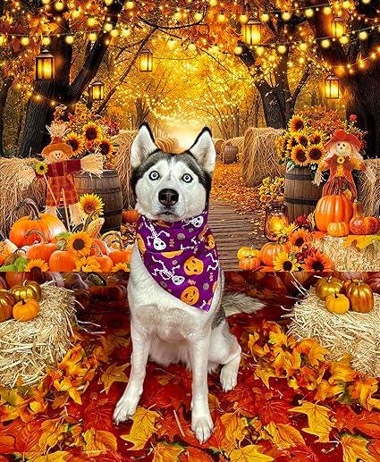 Autumn Forest Backdrop with Pumpkins, Sunflowers, and Maple Leaves for Thanksgiving Photos