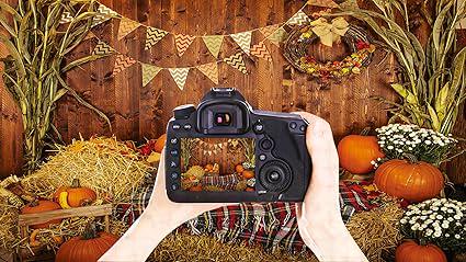 Thanksgiving Autumn Backdrop with Pumpkins and Countryside Harvest for Party Decor