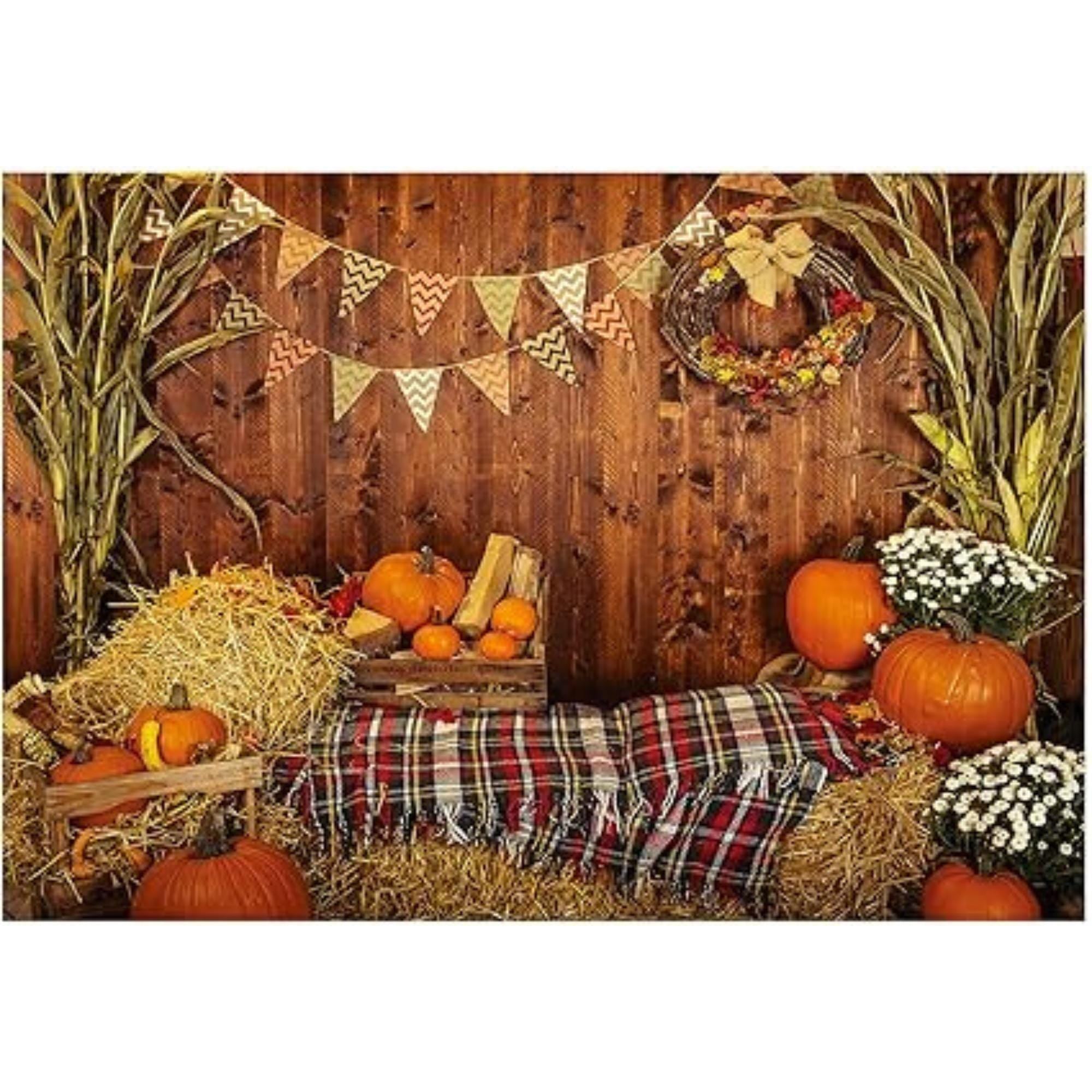 Thanksgiving Autumn Backdrop with Pumpkins and Countryside Harvest for Party Decor